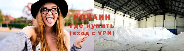 гидра Пересвет