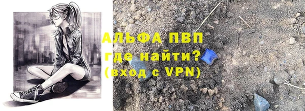 амф Кизел